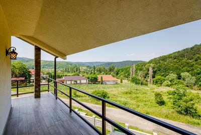 De vanzare pensiune in Sasca Montana - clasificare 3 margarete - 3