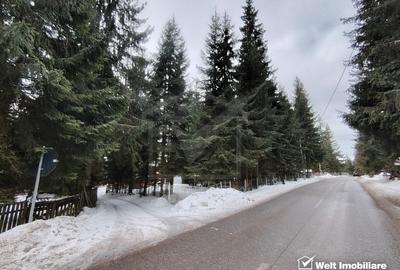 Cabana din lemn moderna, locatie de vis intre brazi – Marisel, Apuseni - 21