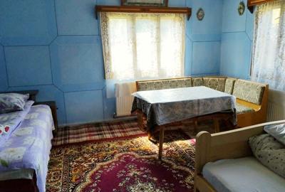 Oportunitate Apuseni: 7553mp cu parau, casa, anexe la 2km de Ghețarul Scarisoara - 12