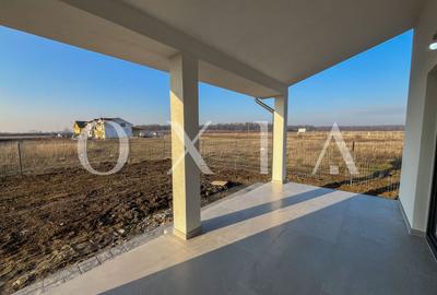 SX676 Mosnita Veche - Padurea Bistra - Disponibil Imediat - 19