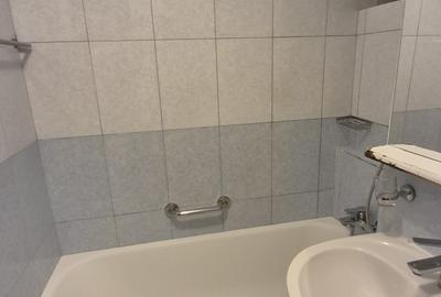 1 Mai - Clucerului - apartament deosebit, 3 camere - 29