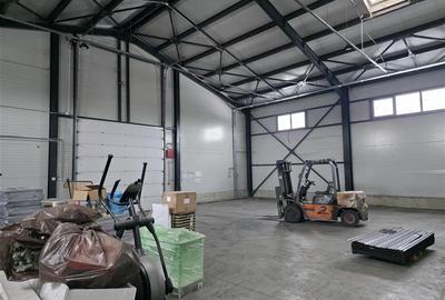 Vanzare depozit/hala/spatiu industrial Theodor Pallady - Drumul Intre Tarlale - - 13