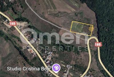 Teren intravilan de vânzare 7.000 mp – Groși, spre Dumbrăvița - 3