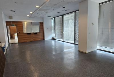 Pantelimon spatiu comercial 950 mp - 19