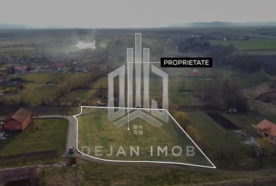 Teren intravilan | 5.260 MP | Reci - 6