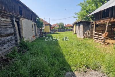 Casa 3 Camere + Teren si Anexe, Tirculesti- Danesti - 10
