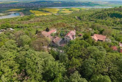 De vânzare casă și teren 1.425 mp - Podgoria - 14