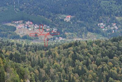 TEREN PENTRU DEZVOLTARE SINAIA-CUMPATU Str. Zamora-9.801 mp-Comision 0% - 23