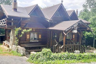 Casa de vacanta superba cu lac Rasnov-Glejerie - 6