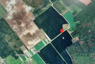 Teren Construcții intravilan de 704 mp, în Buftea