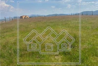 Teren Construcții intravilan de 800 mp, în Păltiniș