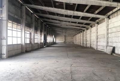SPATIU INDUSTRIAL STUPINI - 4