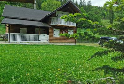 🌲 Cabana de Poveste | Molid – Vama - 2