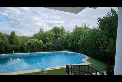 VILA IMPRESIONANTA CU ACCES LA LAC si PISCINA - 32