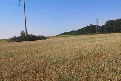 Teren extravilan  20 Ha  -Investitie Parc fotovoltaic Trivalea Mosteni, TR - 1