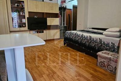 Apartament o camera în zona IULIUS MALL - 2