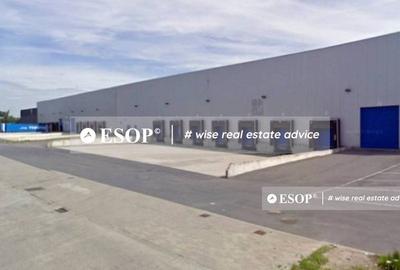 WDP Industrial Park Aricestii Rahtivani, hale, 3.000 - 65.000mp - 3
