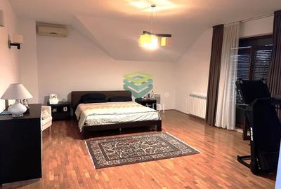 Zona Iancu Nicolae, vila cu 7 camere de inchiriat - 4