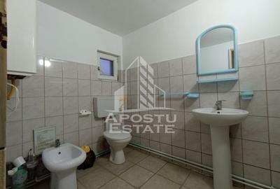 Apartament 3 camere 2 bai zona mehala la curte comuna - 10