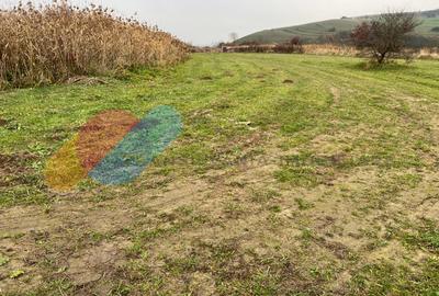 Teren intravilan 2402 mp, cu utilitati, zona Sopor/Borhanci - 3