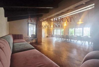 Spatii diverse de inchiriat Ostratu - 10