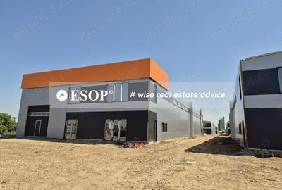 Hale industriale si spatii logistice, Chiajna-Ilfov - 5