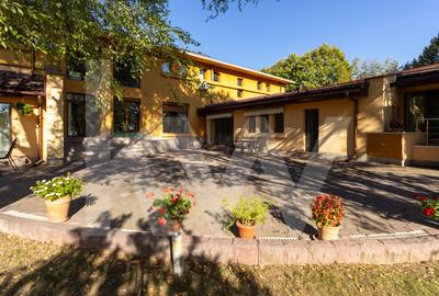 Proprietate Unica in Frumusani – Spatiu, Eleganta si Potential - 1