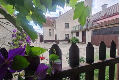 Poveste saseasca la umbra vitei de vie,cu crama,gradina flori,Central,Codlea - 6