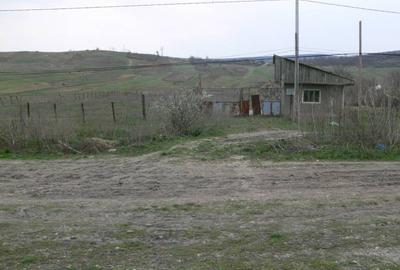 Vand teren 6170 mp in Vaslui, localitate Negresti - 2
