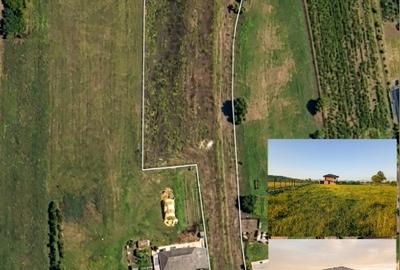 Casă P+E 2025 la roșu și teren generos (48 ari intravilan/împrejmuit ) în Sălsig - 8