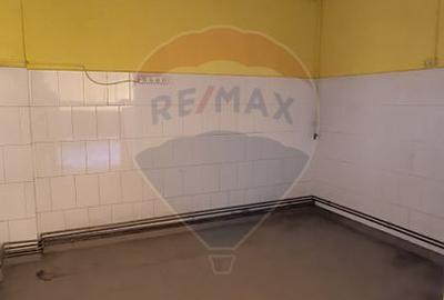 Spațiu comercial alimentatie publica - 19