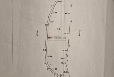 Teren extravilan | Tâncăbești | 5000mp - 5