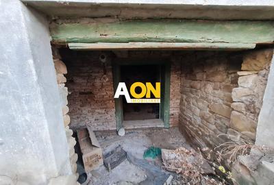 Casa 2 Camere + 1 Anexa, 132 mp, Teren 2619 mp, Zona Paclisa - 11