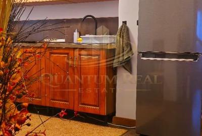 Apartament 2 camere-Sebastian/Prosper - 2