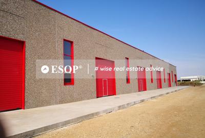 Hale industriale, parc modern, Rudeni, Chitila, Ilfov- ID 15462 - 1