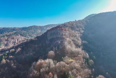 Teren Colinar Panoramic – 17.684 mp în Scheii Brașovului - 6