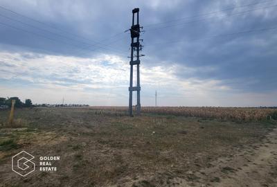 Teren industrial intravilan vis a vis de Auchan Sud Timisoara - 4