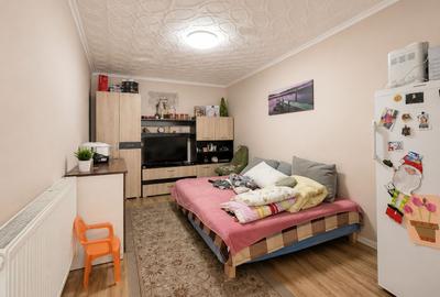 CASA RENOVATA DE VANZARE, SALONTA - 10