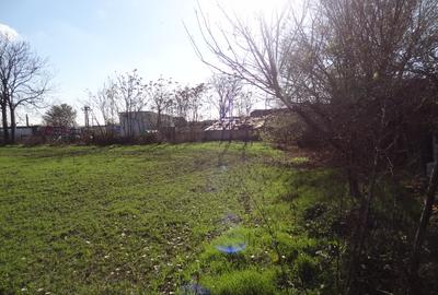 Teren cu casa, 3600mp, 4 camere de vanzare in Nicolae Balcescu - 4
