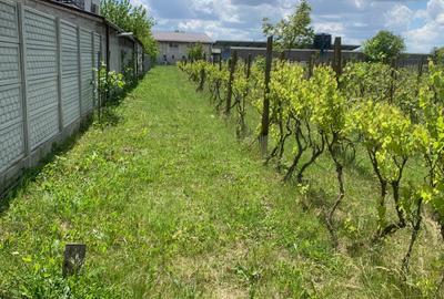 Stefanesti de Jos  Str Stadionului  teren intravilan 3000mp deschidere  50ml - 5
