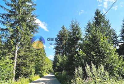 Teren TARCǍU - SCHITU,judetul NEAMȚ - 1