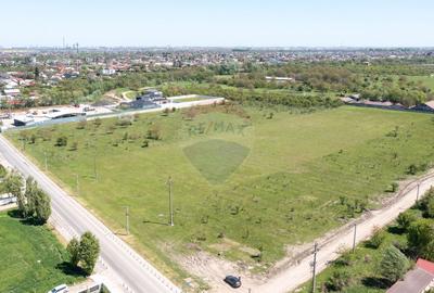 Domnesti- vanzare teren intravilan 10.000mp/ Soseaua Curtea Domneasca - 4