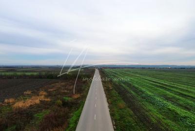 Teren intravilan curti-constructii, industrial, Autostrada A1 - km 62 - 16