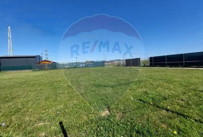 Comision 0! Gradina ta din Brasov 300mp, 514mp sau 1114mp - 4