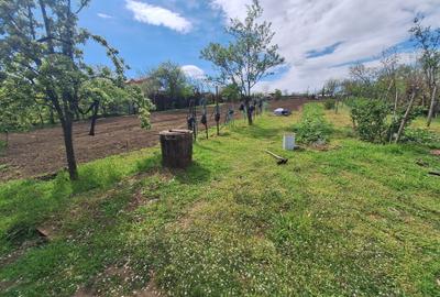 Teren Construcții intravilan de 2691 mp, în Tulucești