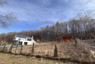 Teren intravilan de 591 mp, în Cisnădioara