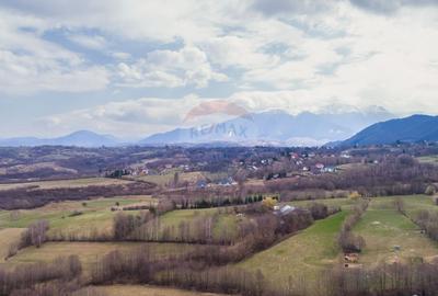 Teren intravilan 850mp Zarnești-Bran, natura-relaxare - 7