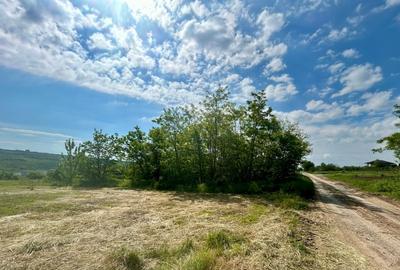 Teren intravilan 522 mp, Platoul Beldiman Rediu, deschidere la 2 străzi, 63.000e - 8