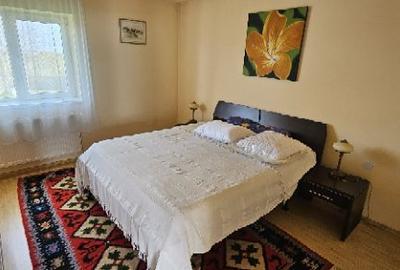 Ciopani vila 5 camere teren 4000 mp - 27
