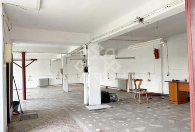 Casa si spatiu de productie in Iosia, teren 839 mp - 13